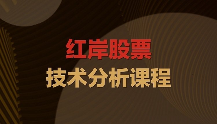哪些标的值得介入