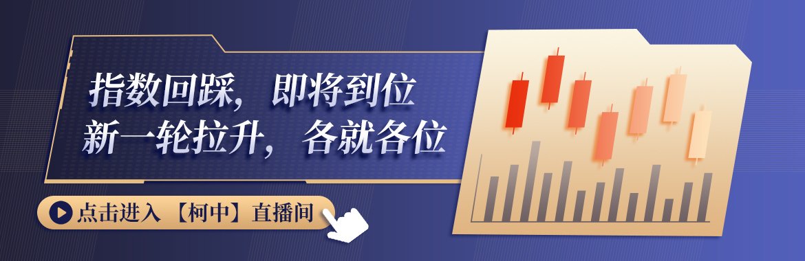 斑马消费2025-02-07